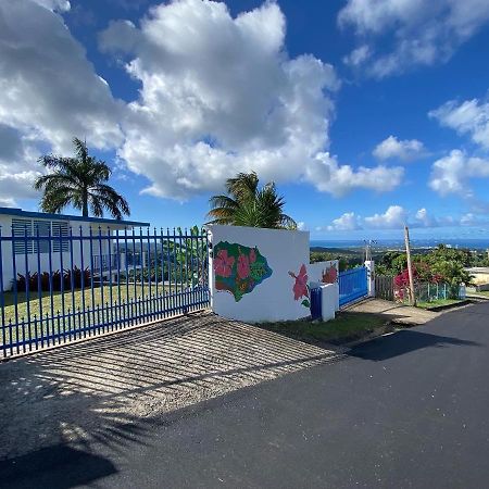 Million Dollar View In Puerto Rico Βίλα Luquillo Εξωτερικό φωτογραφία