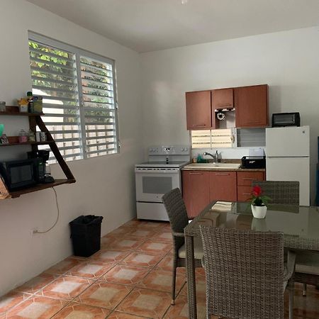 Million Dollar View In Puerto Rico Βίλα Luquillo Εξωτερικό φωτογραφία
