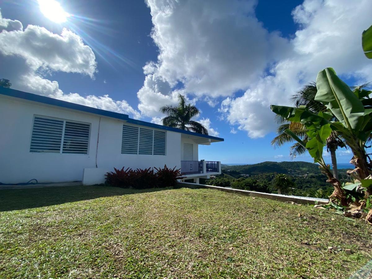 Million Dollar View In Puerto Rico Βίλα Luquillo Εξωτερικό φωτογραφία