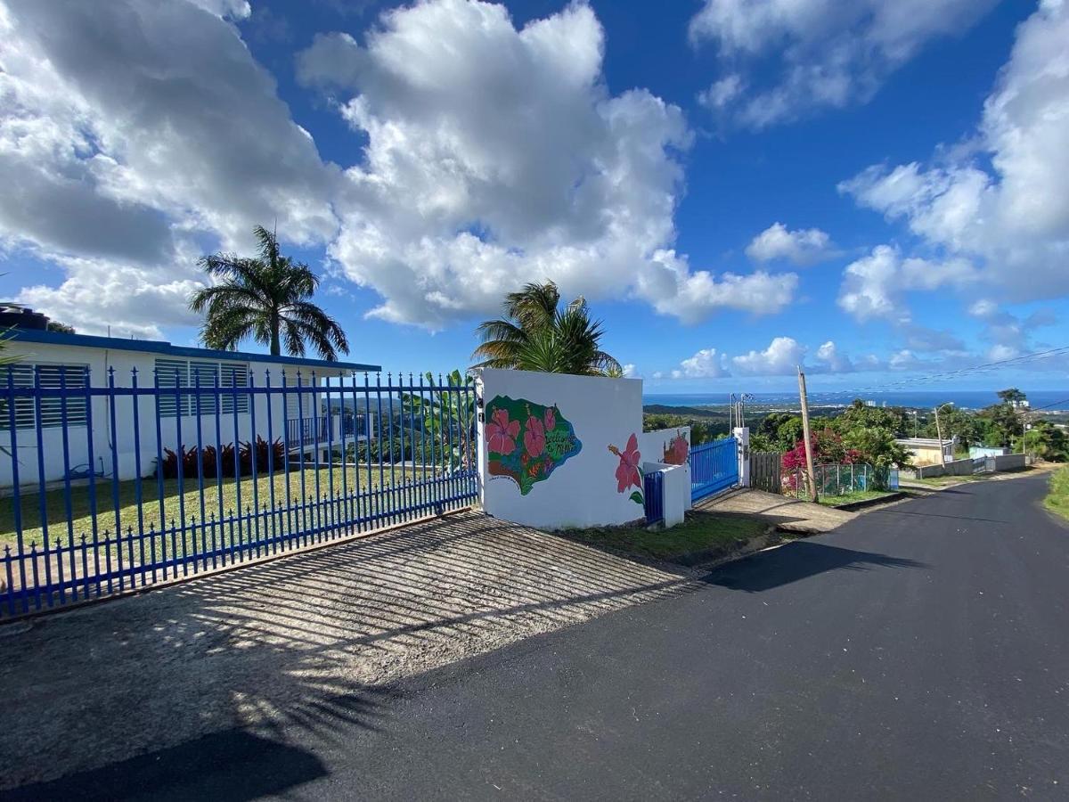 Million Dollar View In Puerto Rico Βίλα Luquillo Εξωτερικό φωτογραφία