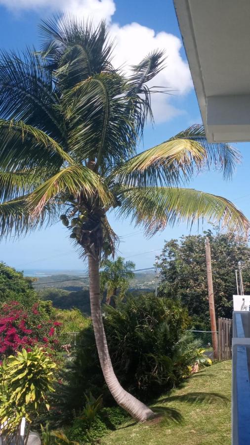Million Dollar View In Puerto Rico Βίλα Luquillo Εξωτερικό φωτογραφία