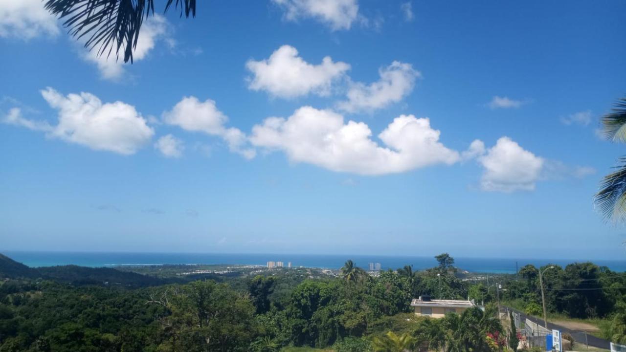 Million Dollar View In Puerto Rico Βίλα Luquillo Εξωτερικό φωτογραφία