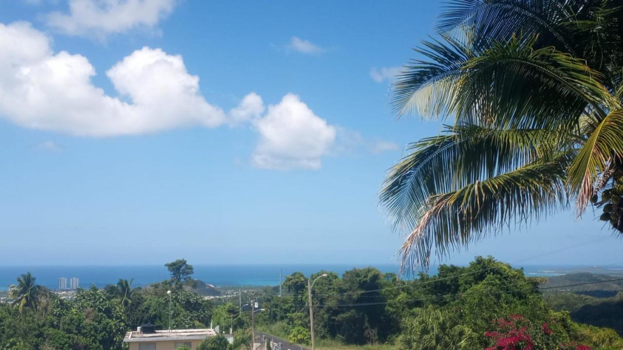 Million Dollar View In Puerto Rico Βίλα Luquillo Εξωτερικό φωτογραφία