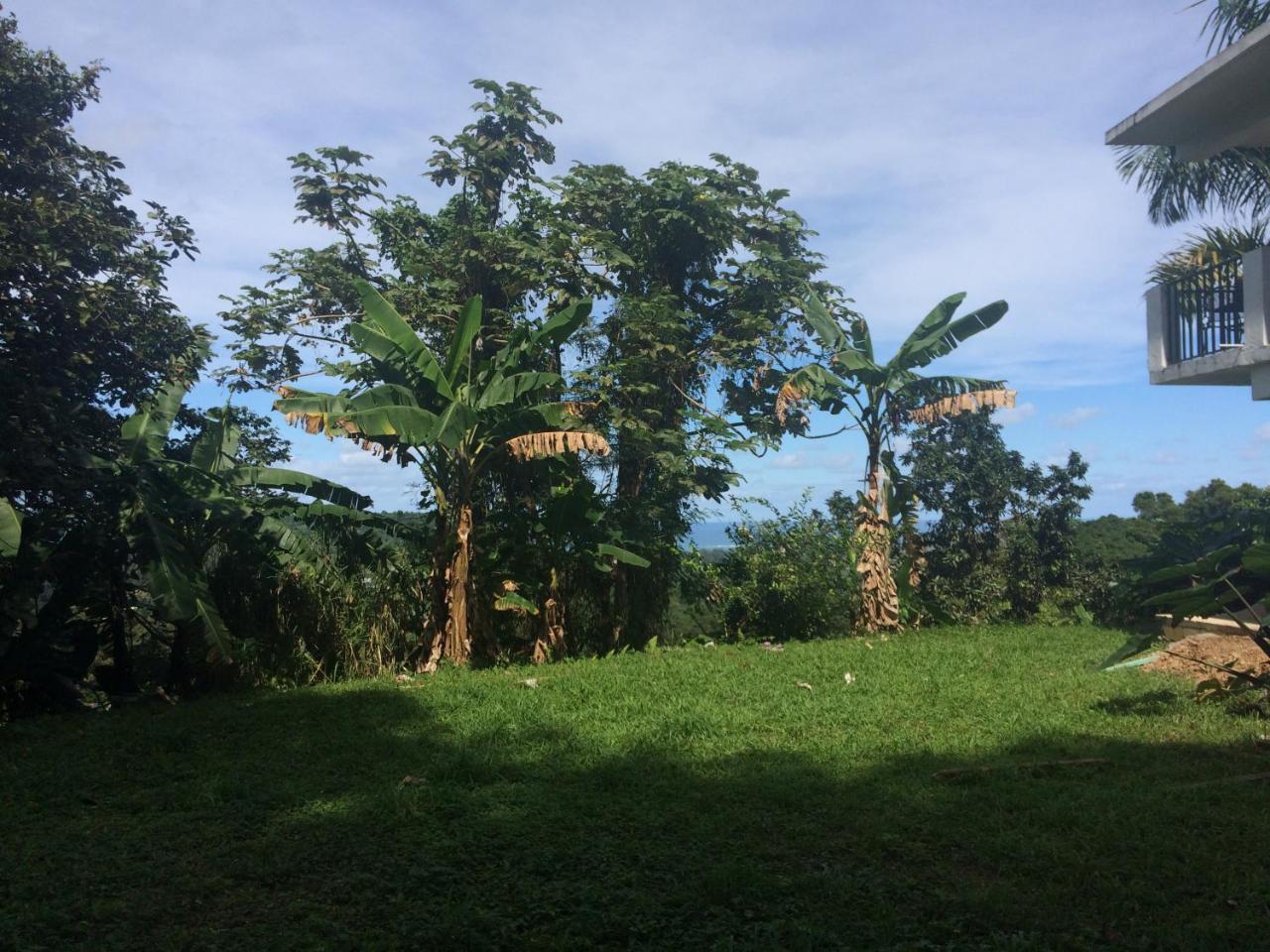 Million Dollar View In Puerto Rico Βίλα Luquillo Εξωτερικό φωτογραφία